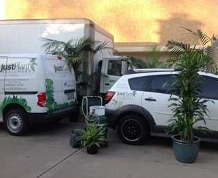 Just Plant Designers Vehicles
