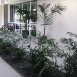Atrium & Custom Planters