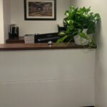 Cumming Reception Pothos Picture