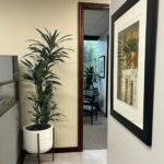 Vaulter Warneckii Hallway Picture