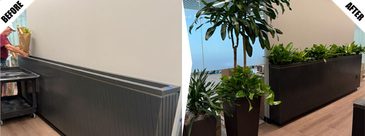 Project Before and After Pictures