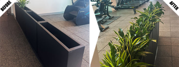 Project Before and After Pictures