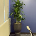 American Sound JC Conference Room Picture