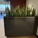 WSP Kitchen Planter 2