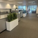 Cummings Rectangular Planters